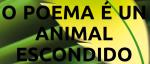Foto da actividade